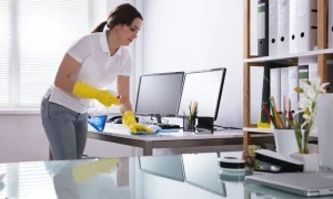 Cleaning Services